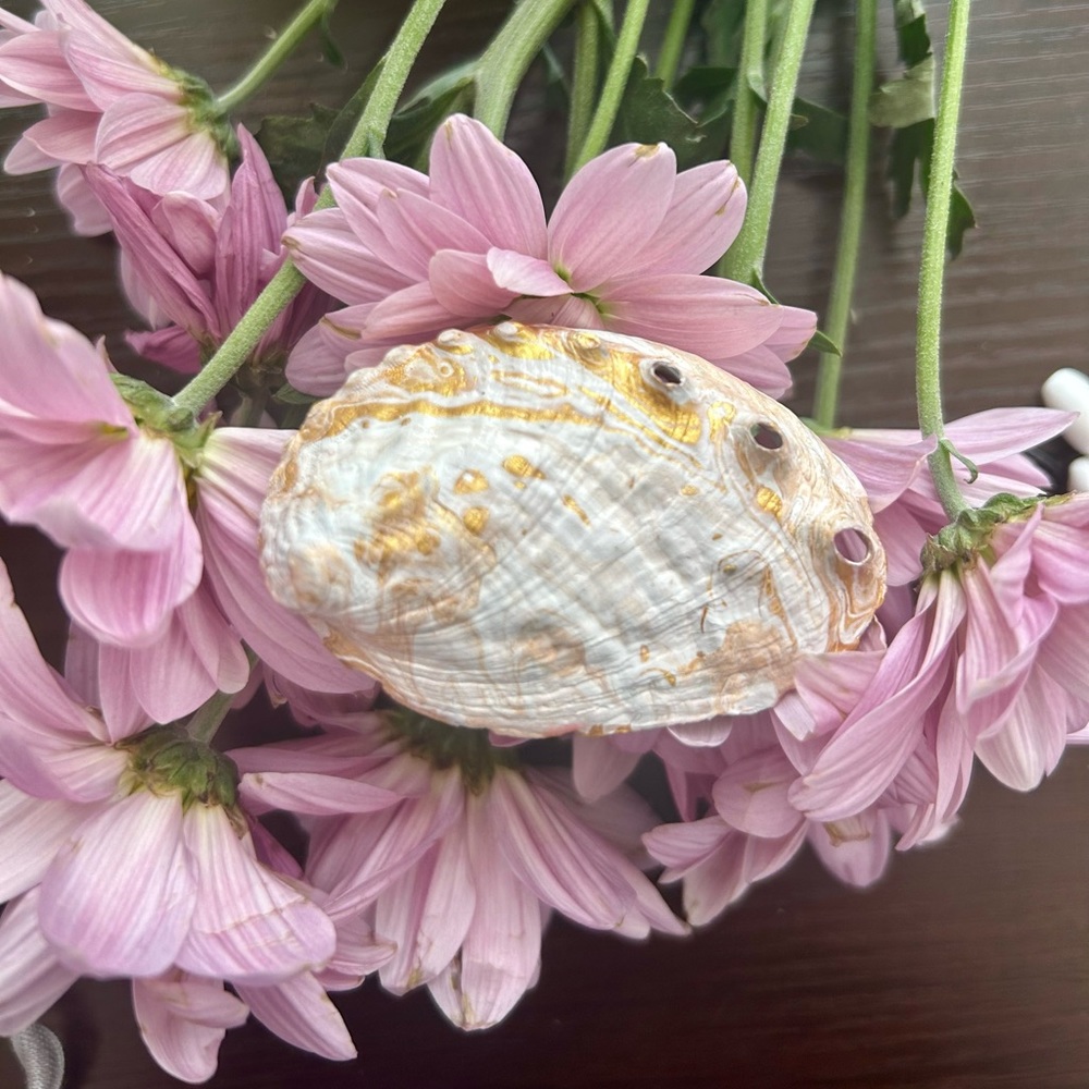 Shell Jewelry Dish - Picture 3 of 3